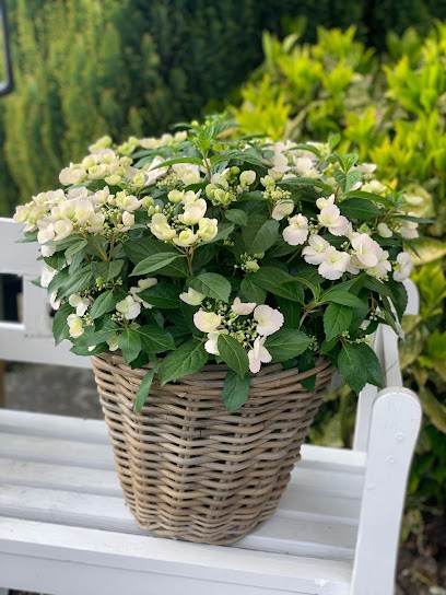 Et Blömche Blumen & Mehr, Blumenladen in Linnich