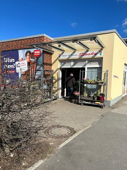 Blumenpavillon Travemünde, Blumenladen in Lübeck