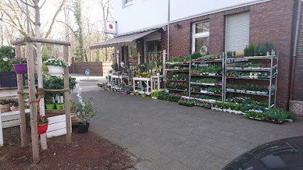 Blumen Herzblatt (inh.Wonderstore UG), Blumenladen in Duisburg