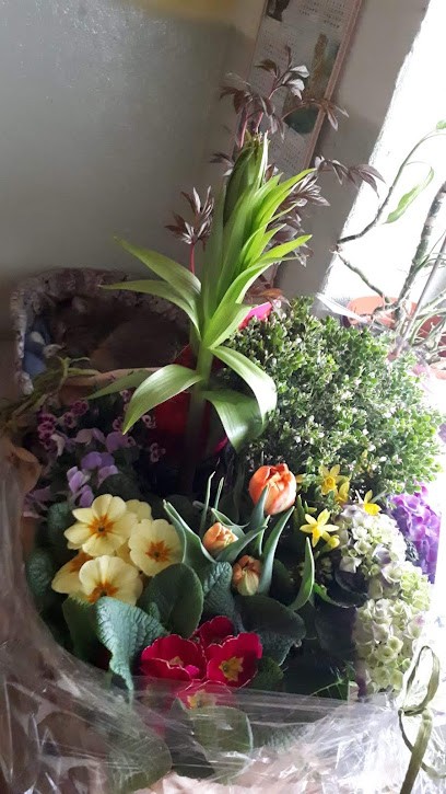 Annette Wellkisch, Blumenladen in Guben