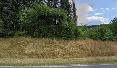 Barbara Kraft, Blumenladen in Sinntal