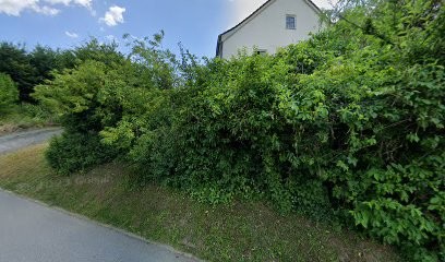 Rosi's Blumenecke Inh. Rosemarie Maurermaier, Blumenladen in Tann