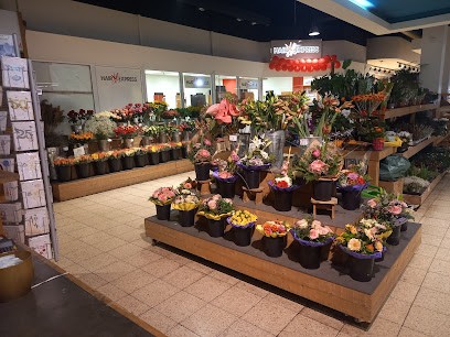 Alice im Blumenland, Blumenladen in Duisburg