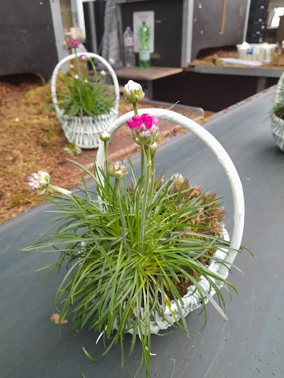 Kolibri GmbH, Blumenladen in Kalkar