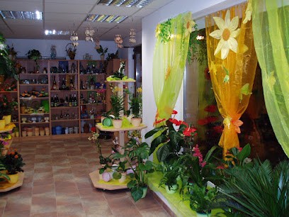 Kerstin’s Blumen- und Geschenkeshop UG (haftungsbeschränkt), Blumenladen in Stützengrün