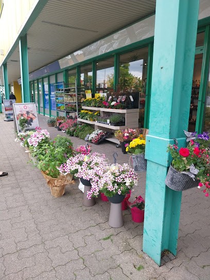 Florizz- Blumen, Blumenladen in Bautzen