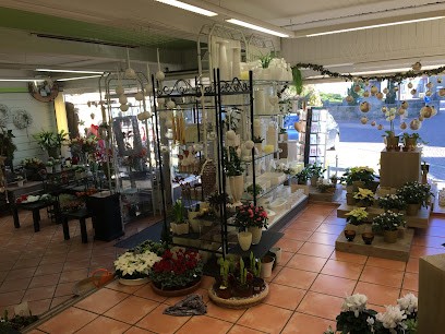 Kretschmann Floristik, Blumenladen in Springe