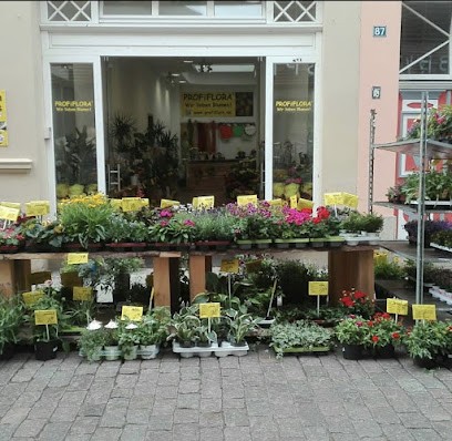 PROFiFLORA, Blumenladen in Greifswald