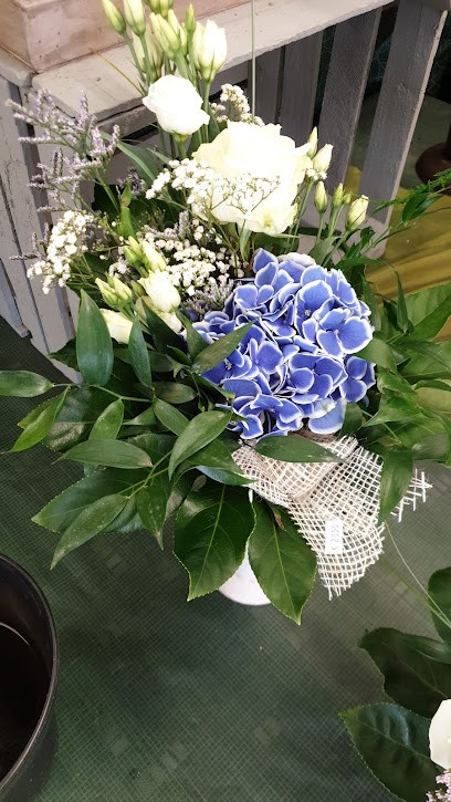 E. Schuff Gartenbaubetrieb, Blumenladen in Neunkirchen am Brand