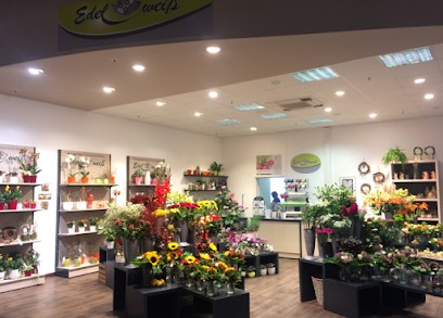 Blumen Edelweiß Schweinfurt 1, Blumenladen in Schweinfurt