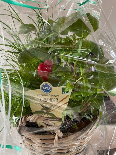 Rolf Künkler, Blumenladen in Höhn
