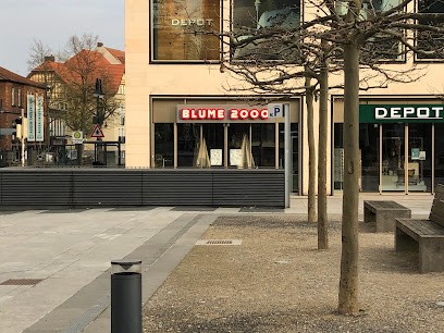 BLUME2000 Fulda, Blumenladen in Fulda