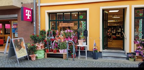 Florizz GmbH & Co. KG, Blumenladen in Senftenberg