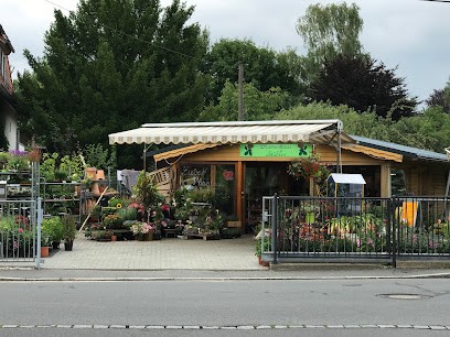 Blumenhaus Stübler, Blumenladen in Weinböhla