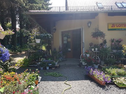 Blumenoase UG, Blumenladen in Weißenborn