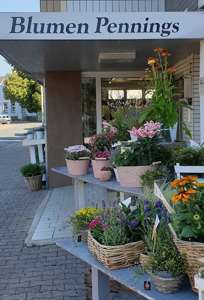 Blumen Pennings, Blumenladen in Hessisch Oldendorf