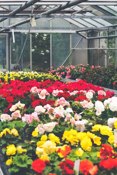 Gärtnerei Sauer, Blumenladen in Wrestedt