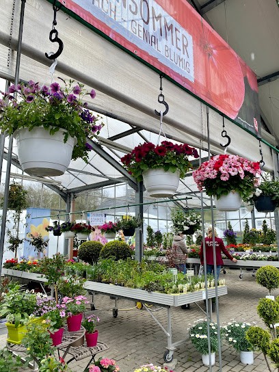 Blumen Lindner, Blumenladen in Willingen