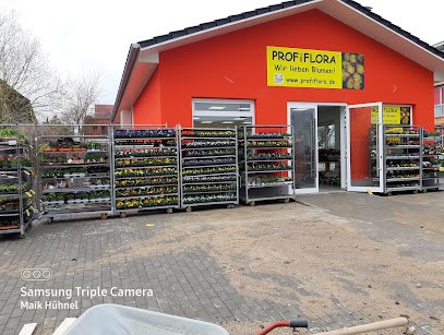 Blumen Und Pflanzen PROFiFLORA, Blumenladen in Grimmen