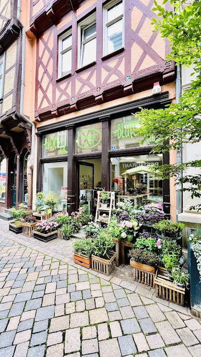 BlütenStil - Trolldenier Seit 1891, Blumenladen in Quedlinburg