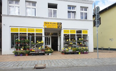PROFiFLORA, Blumenladen in Bützow