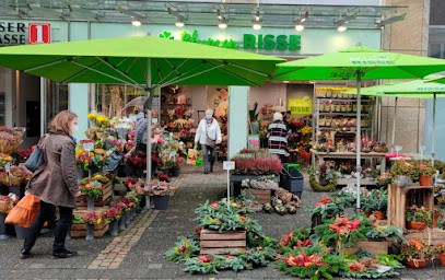 Blumen Risse Blumenladen Gummersbach, Blumenladen in Gummersbach