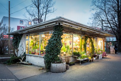 Blumen Wengert, Blumenladen in Eßlingen