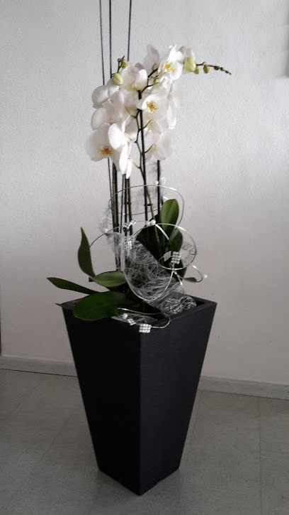 Blütenzauber Frisch, Blumenladen in Postbauer-Heng