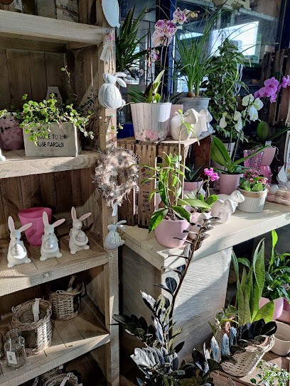 Raab Rosen, Blumenladen in Rockenberg