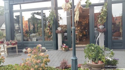 Adenium Floristik, Blumenladen in Norden