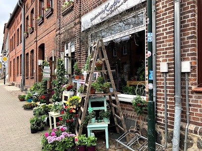 Blumenhaus Koth, Blumenladen in Grevesmühlen