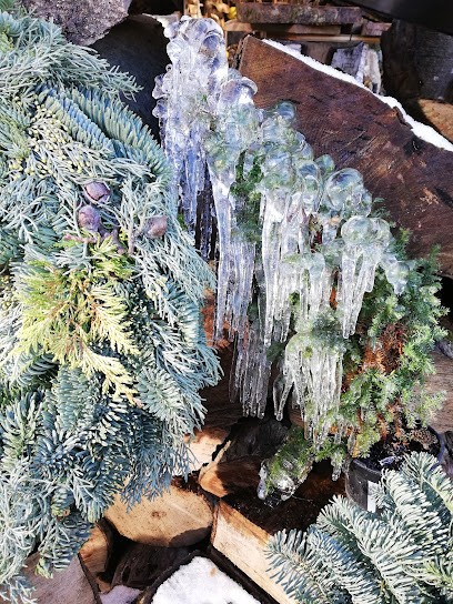 Günter Lödermann, Blumenladen in Garmisch-Partenkirchen