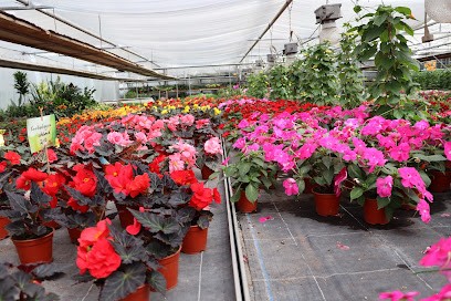 Gärtnerei Burckhardt, Blumenladen in Glauchau