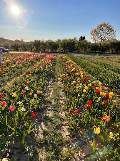 Blumenfeld Ebringen, Blumenladen in Ebringen