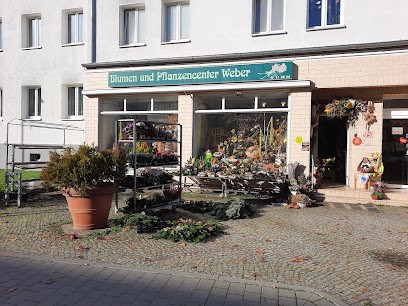 H. Weber, Blumenladen in Strausberg