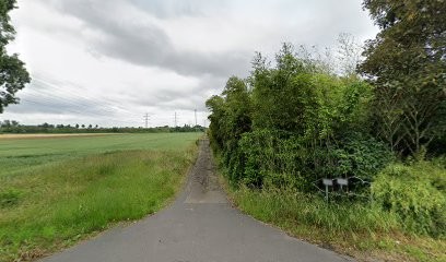 Blumen-Adams Inh. Helga Janitzki, Blumenladen in Pulheim