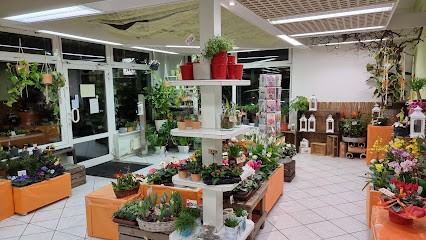 Blumenhaus Neitsch, Blumenladen in Großröhrsdorf