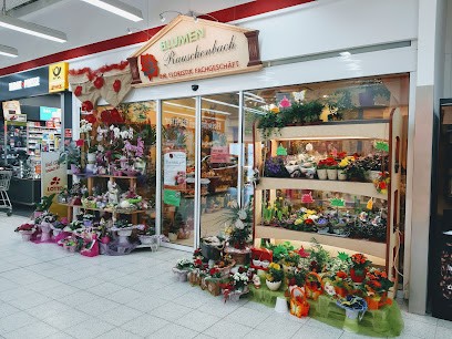 Blumen Rauschenbach GmbH, Blumenladen in Naumburg
