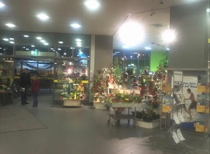 Blumen Franz Inh. Rudolf Franz, Blumenladen in Villingen-Schwenningen