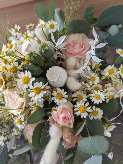 Blumenstudio Carle, Blumenladen in Kaufungen