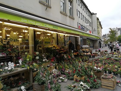 Blumen Risse Blumenladen Hattingen, Blumenladen in Hattingen