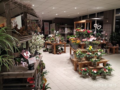 Evergreen Hage, Blumenladen in Hage