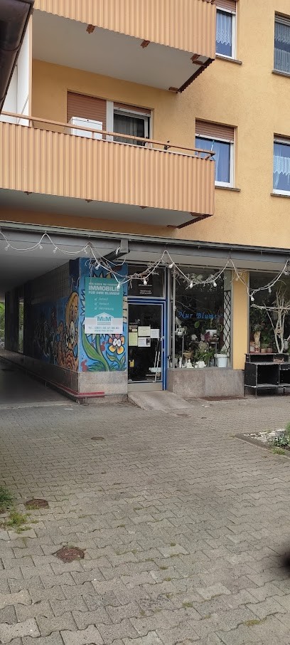 Blumen Ritter, Blumenladen in Würzburg