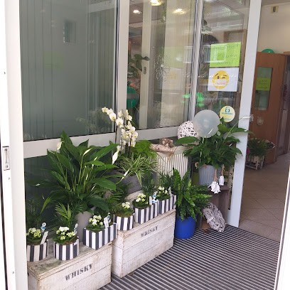 Xuan Anh Blumen, Blumenladen in Wilhelmshaven