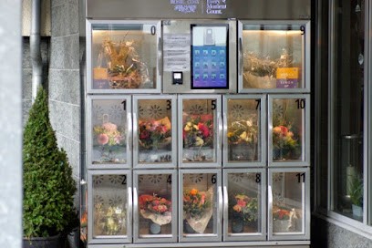 Schmidt-Hötte Floristik und Gartenbau, Blumenladen in Anröchte