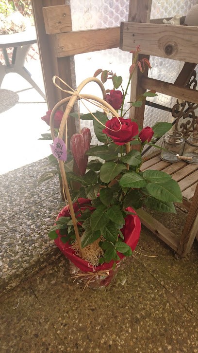 Blumen Brüggmann GbR, Blumenladen in Steinburg