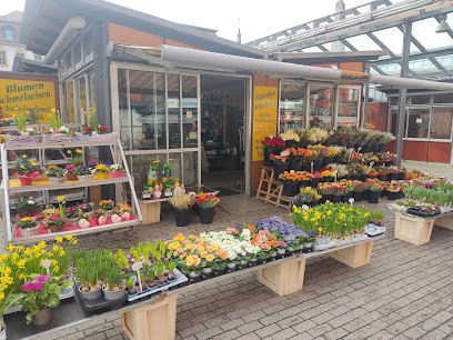 Blumen Schmelzeisen, Blumenladen in Würzburg