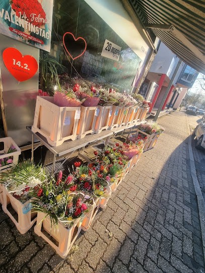 Schatzinsel Rosenshop, Blumenladen in Gummersbach