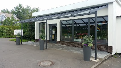 Blumenhaus Wennmacher, Blumenladen in Kassel