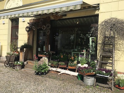 Quolke´s Blumen, Blumenladen in Stahnsdorf